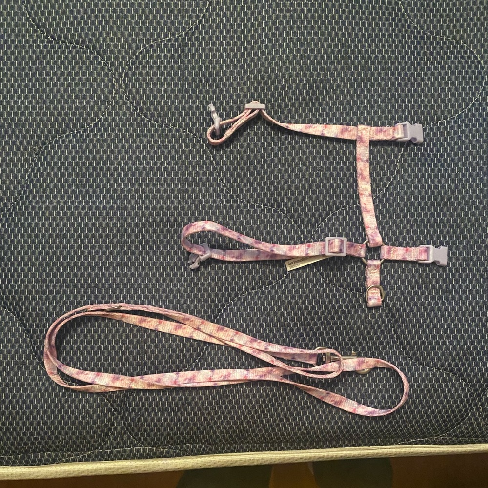 Youly Kitten Harnessess | Space Kitten & Pink and Purple